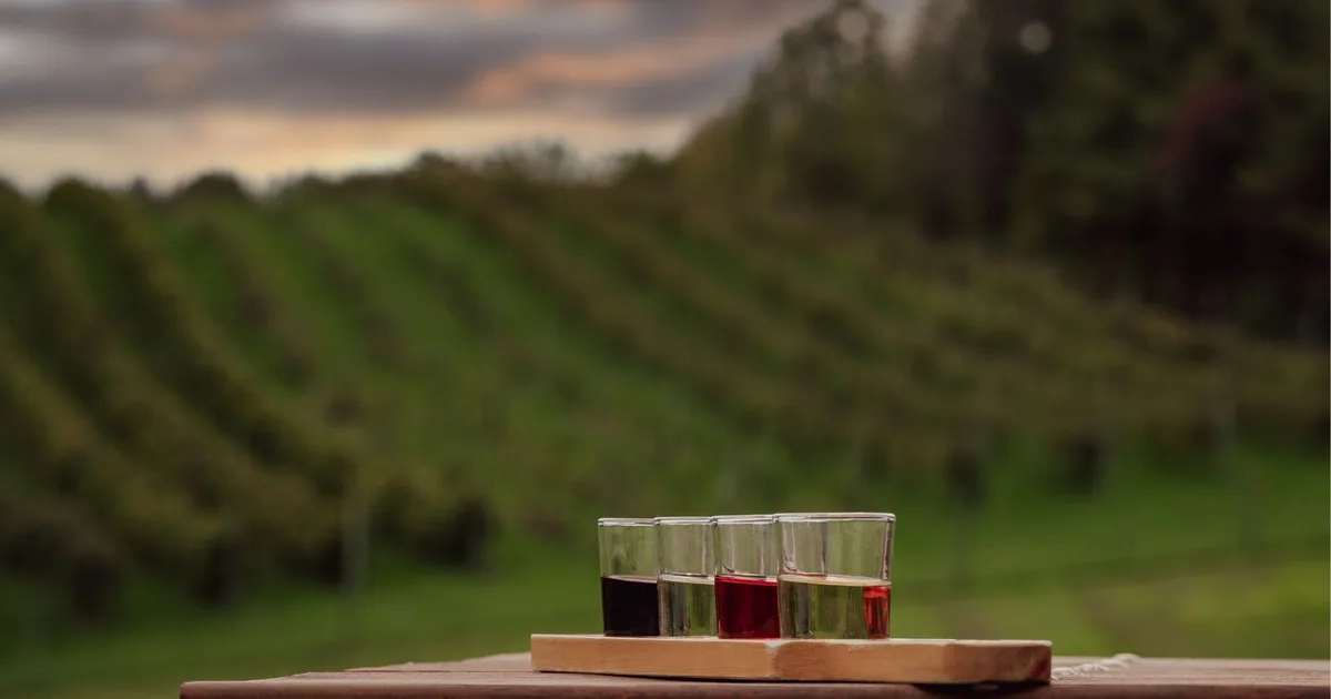A Barossa wine-tasting flight on a wooden board overlooking the vineyards at dusk
