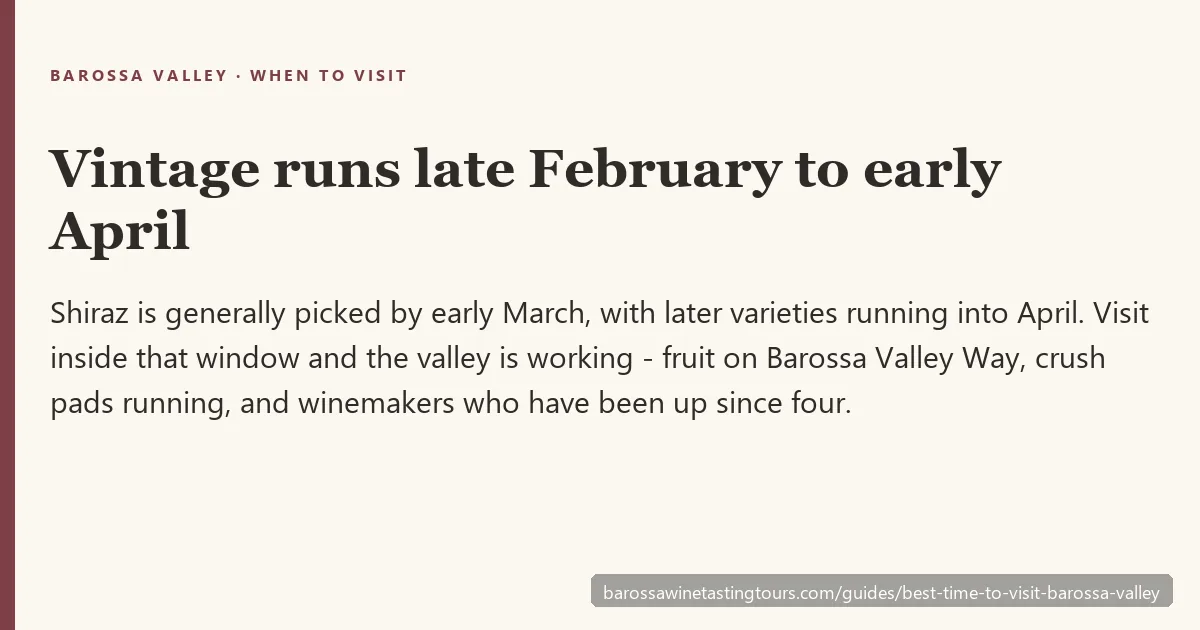Barossa Valley month by month: weather, vintage, crowds and best times to book a wine tour