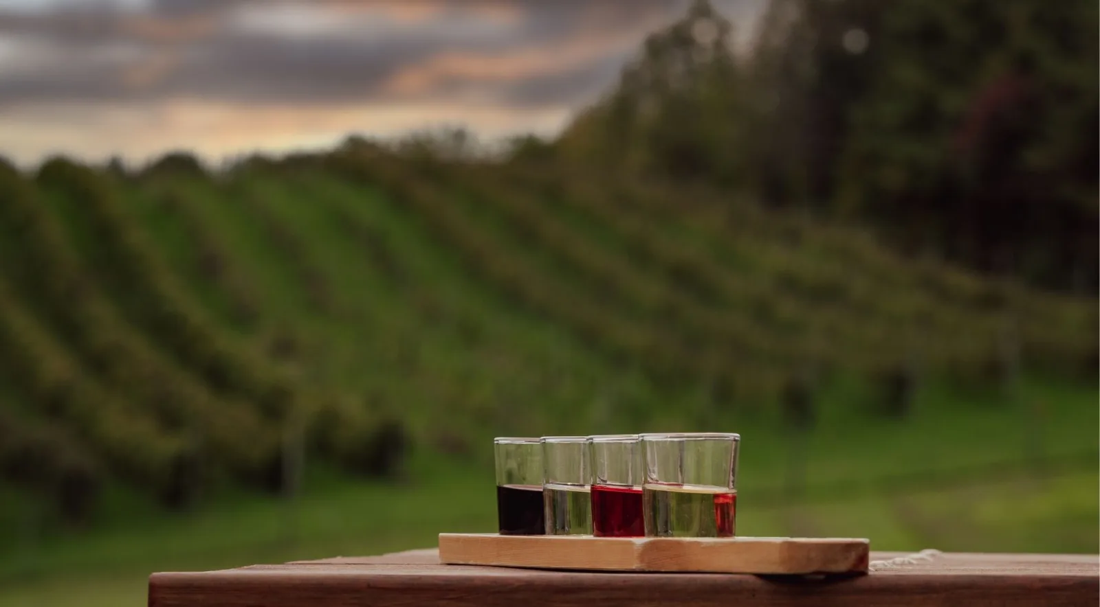 Tasting paddle of four small wine pours on a timber rail above a vineyard at dusk