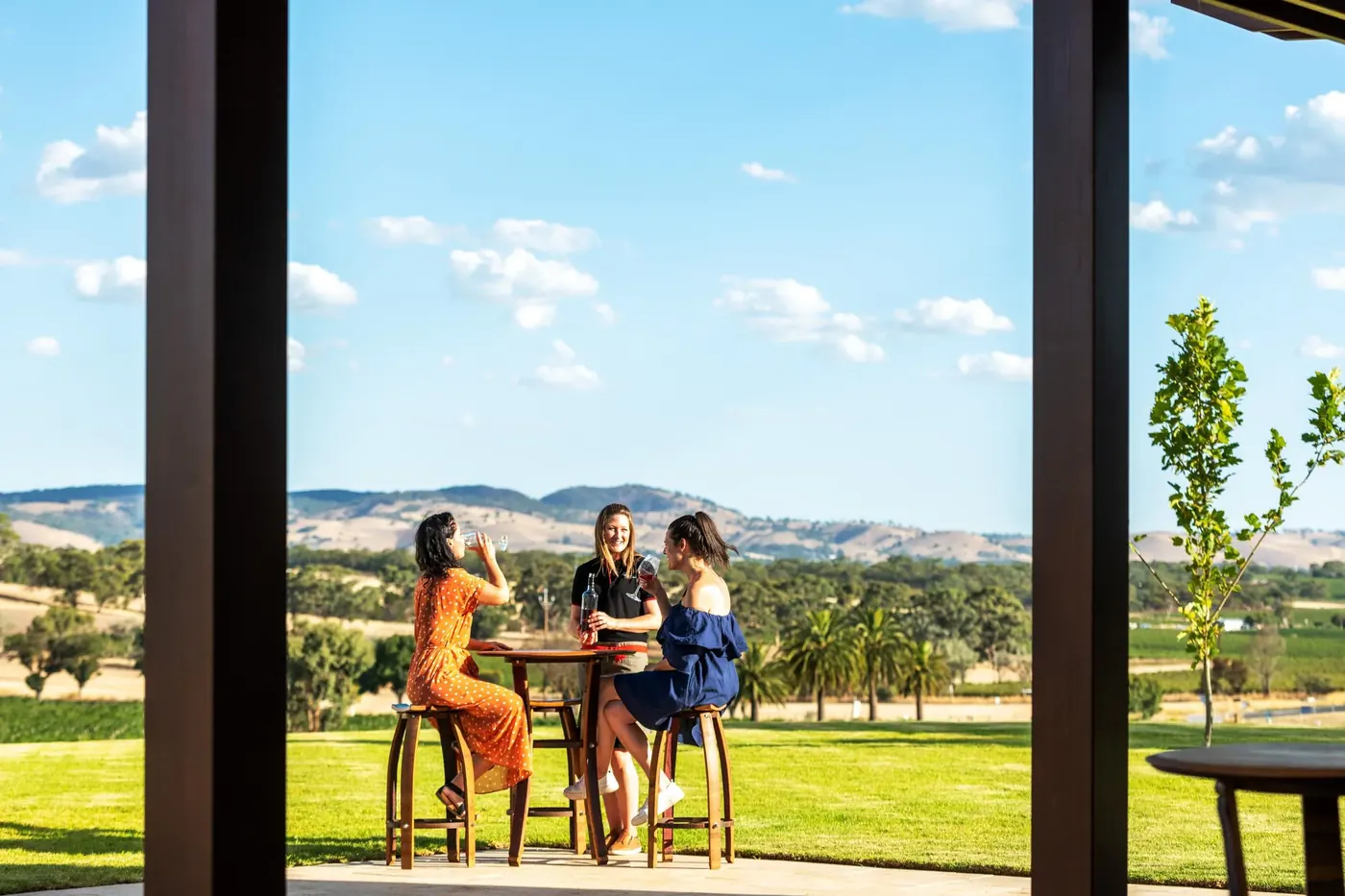 Guests at a high table on a cellar-door terrace with the Barossa ranges in the distance