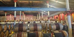 Guest photo from review